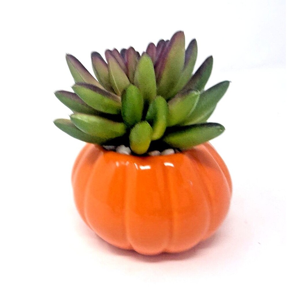 Disney Tim Burton's Nightmare Before Christmas Pumpkin King Faux Succulent 3.5in - Picture 5 of 8